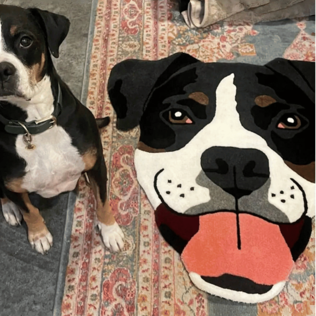 Custom Pet Portrait Rug 🐾