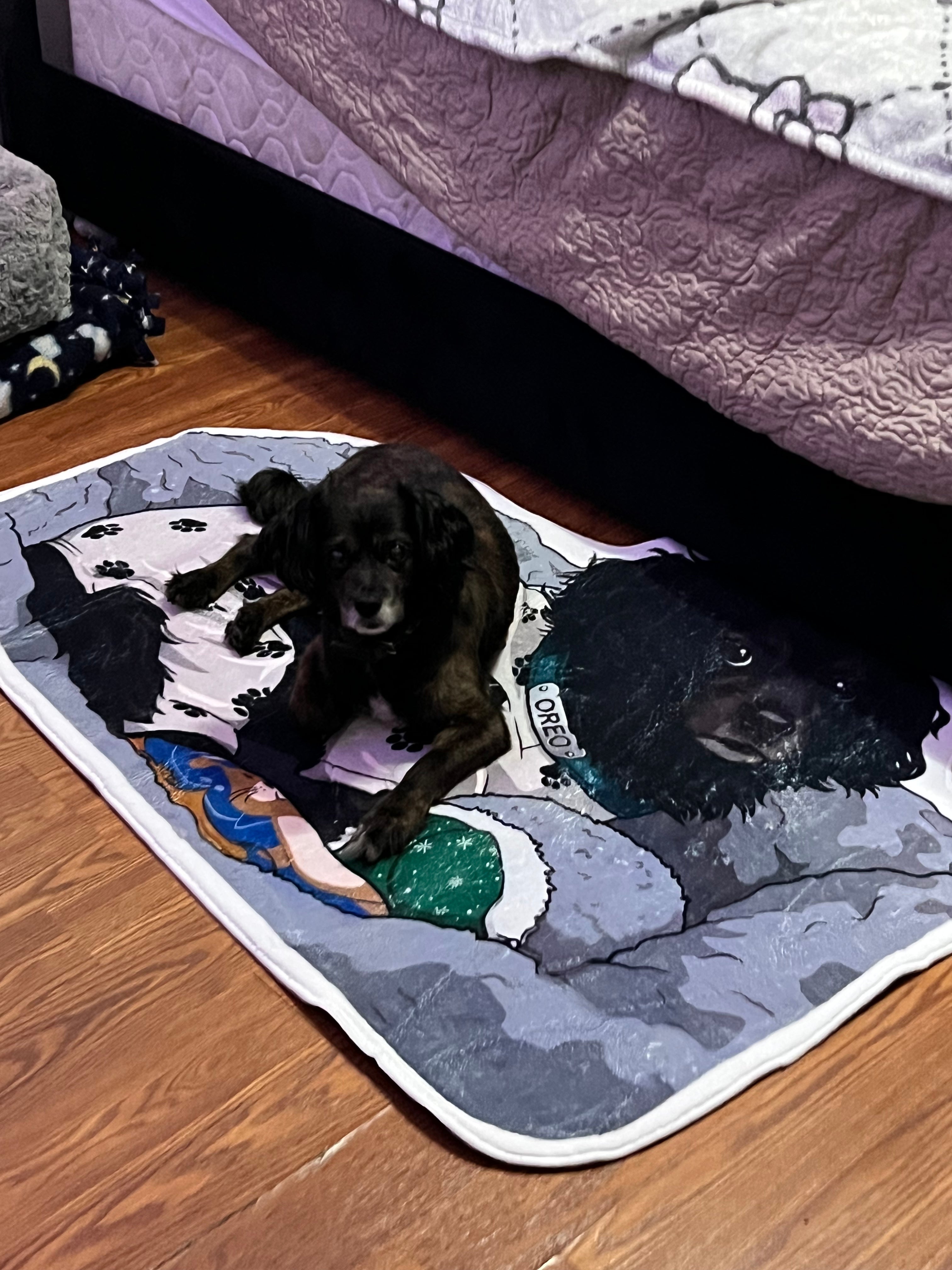 Custom Pet Rug